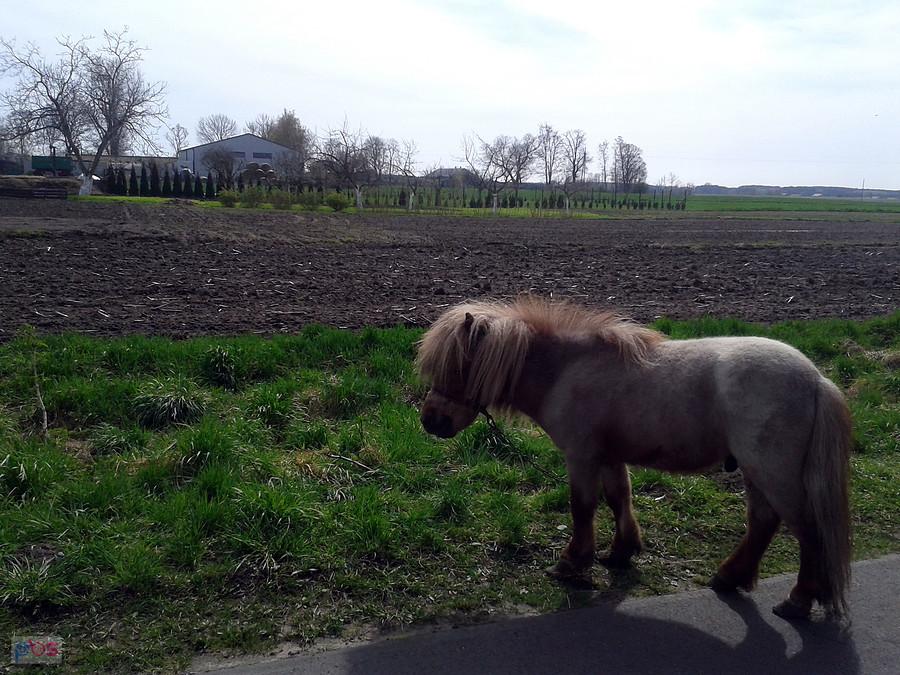 Niedzielne spotkanie :) Umień