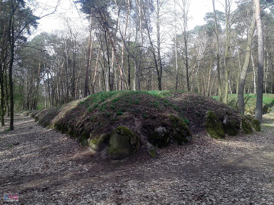 kultury megalityczne, Wietrzychowice - grób nr 1