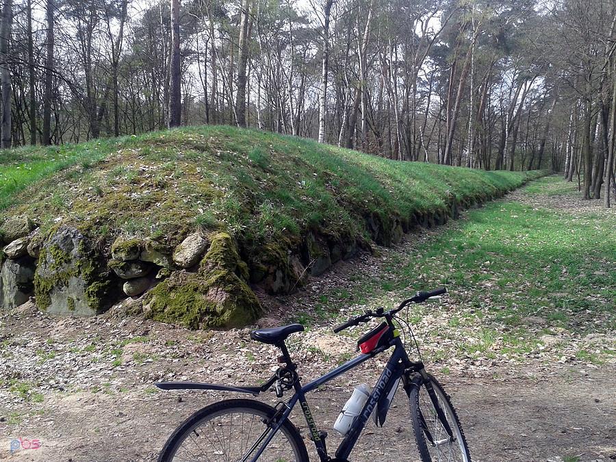 Grobowiec nr 1 kulury megalityczne, Park w Wietrzychowicach