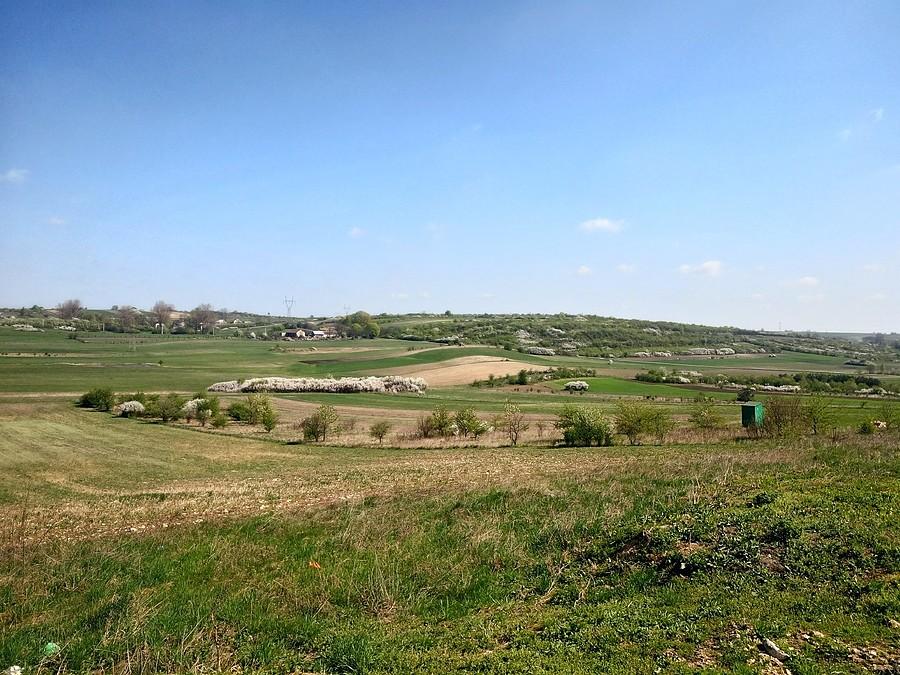 Wiosennie