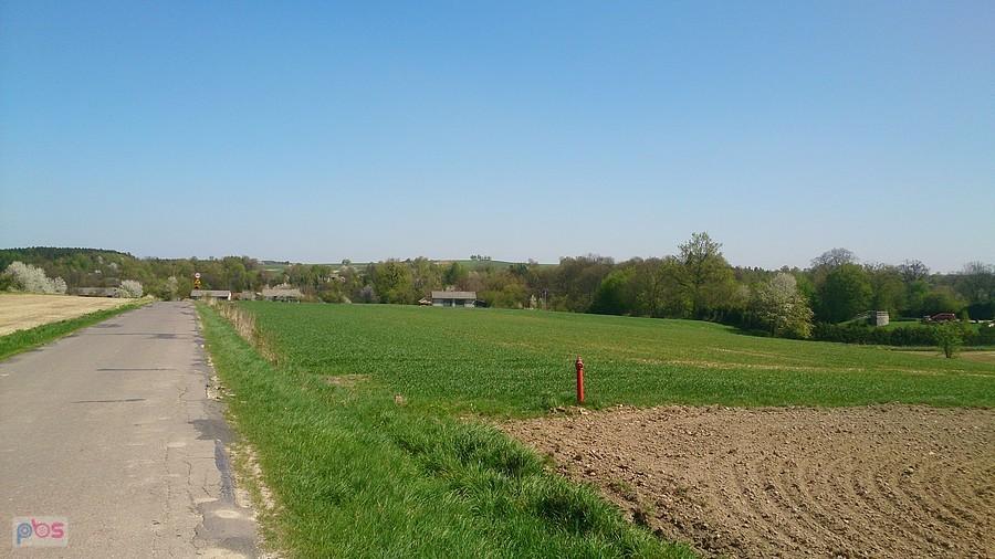 Droga w kierunku Strzyżewic