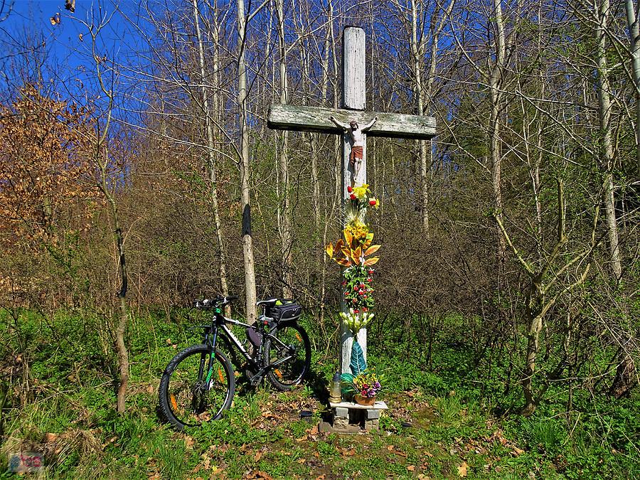 Na rowerze po lesie. Krzyż w lesie Rokickim.