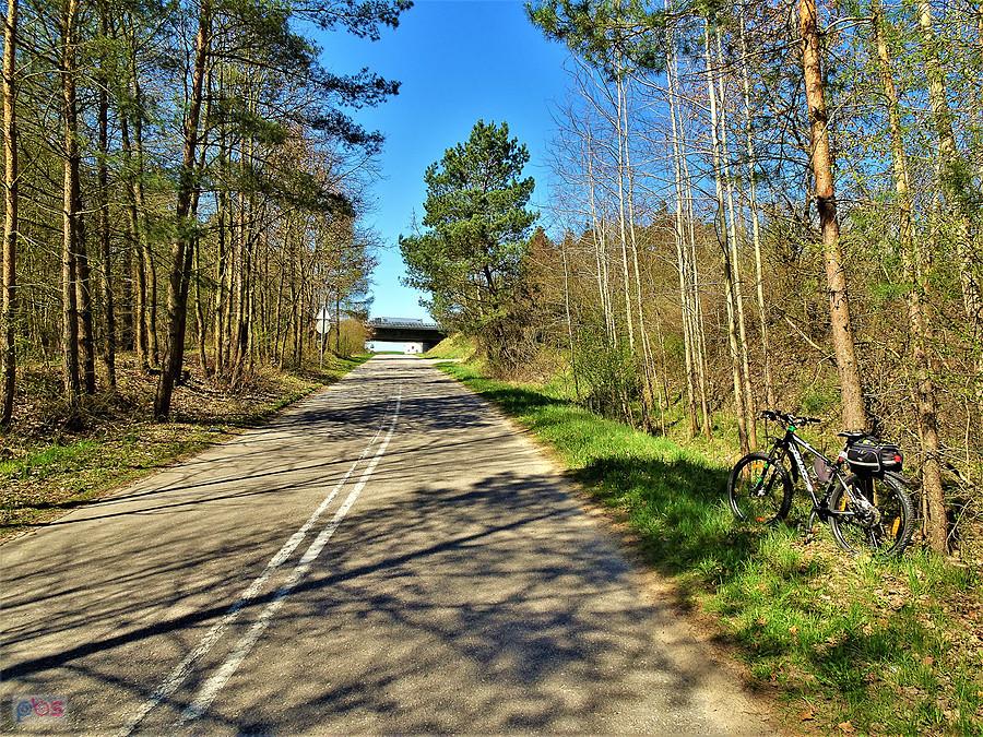 Wiosenna wycieczka rowerowa.