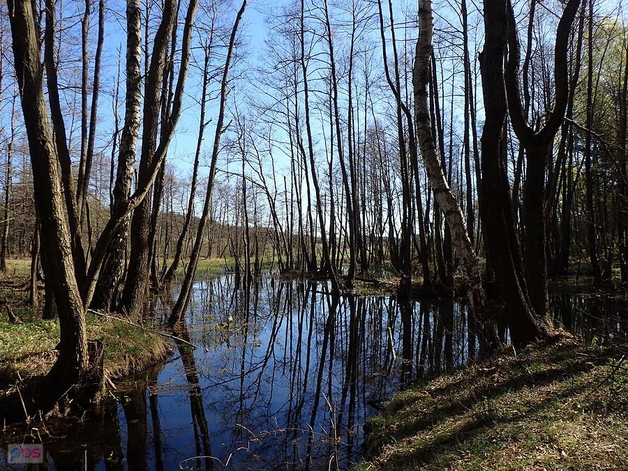 Białka w Młynach