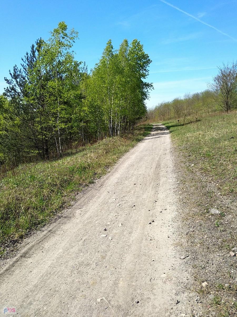 na hałdzie w Sośnicy