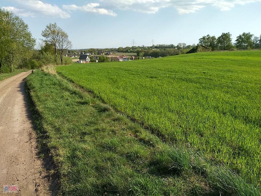 W drodze do Mikołowa