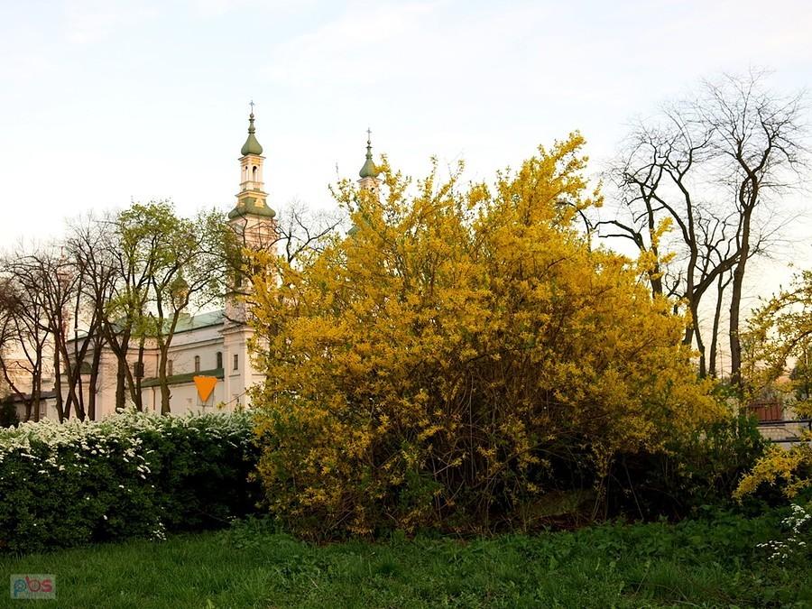 W centrum miasta.