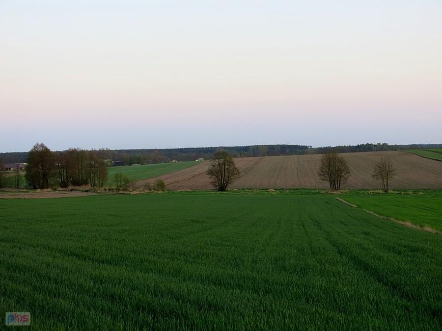 Nasze pagórki.