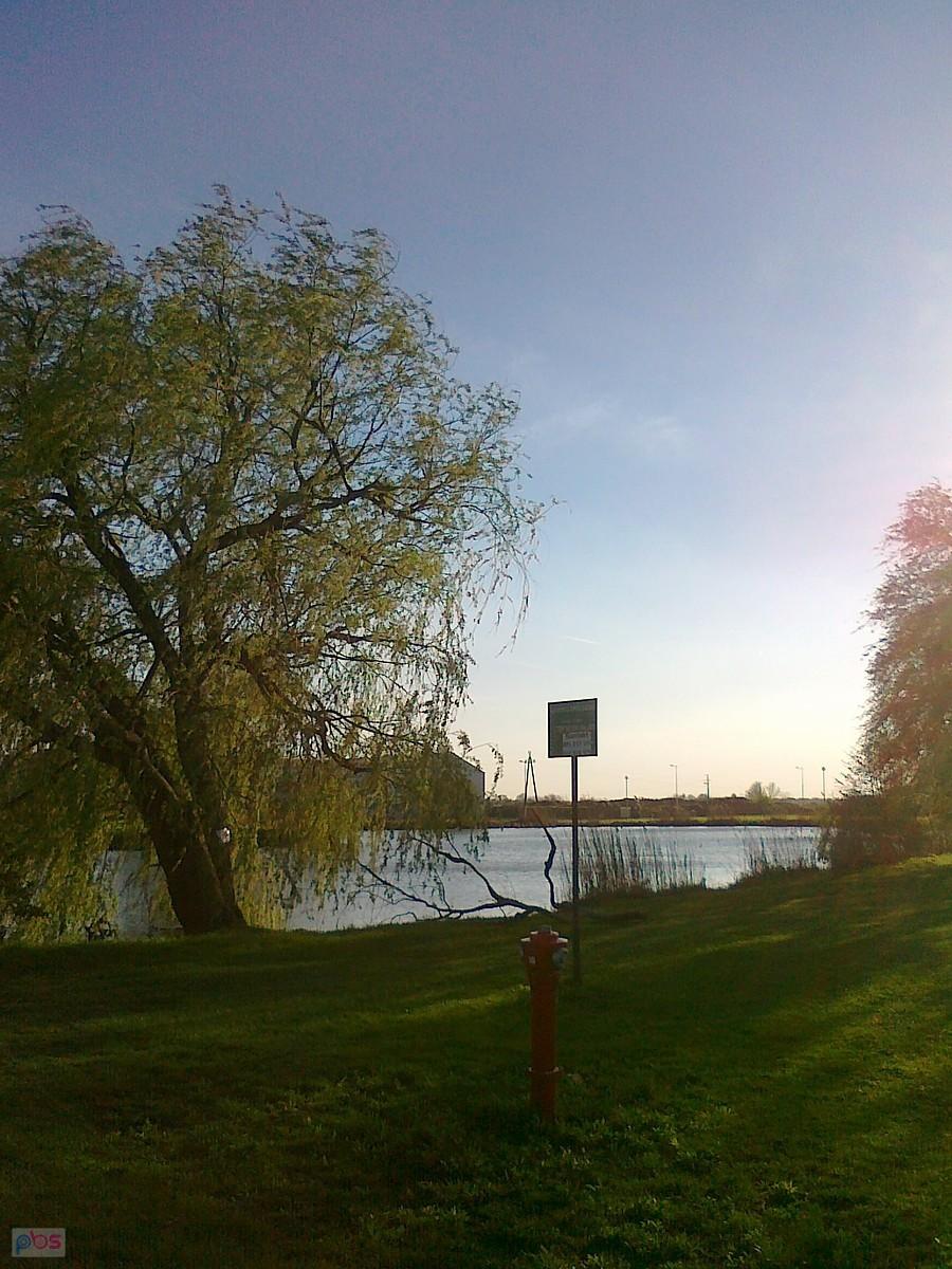 Staw w Zielonkach