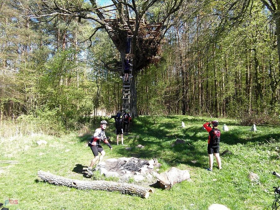 Mega dom na drzewie - Powiśle