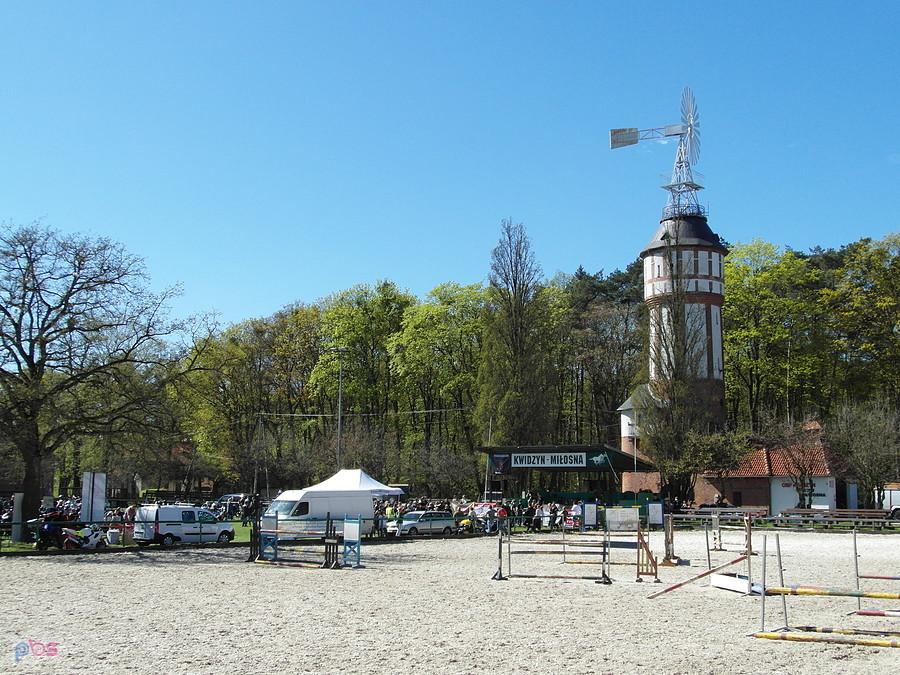 Stadnina koni - Kwidzyn Miłosna