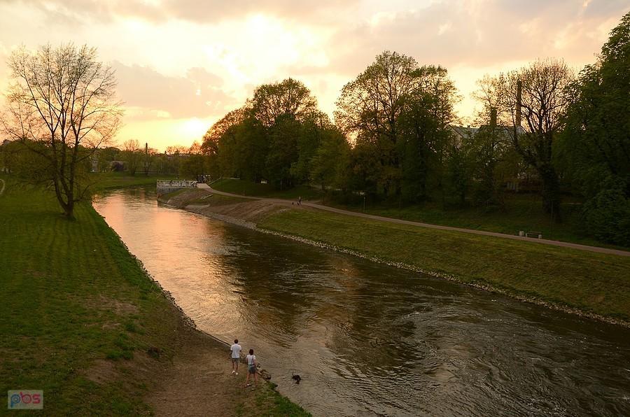 Odra w Raciborzu