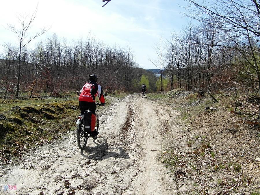 Rowerzyści na szutrowej drodze w Kaszubach