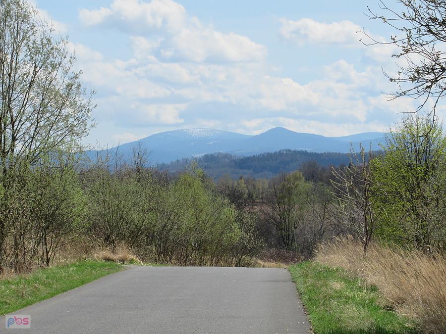 Widok na Masyw Śnieżnika