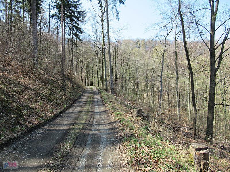 Szlak na Kalwarię