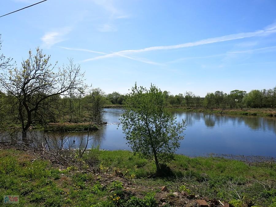 Nad Pilicą - Domaniewice