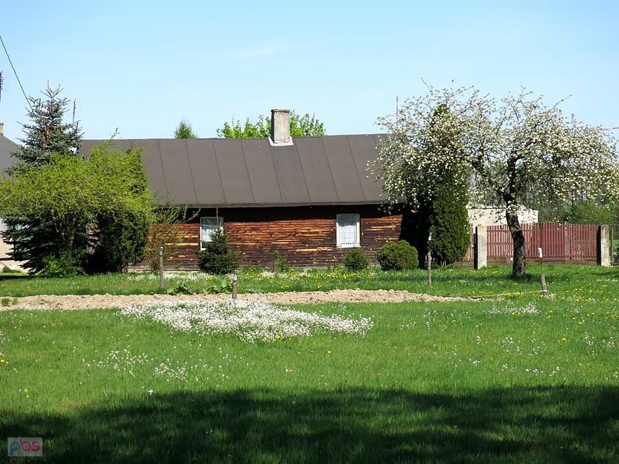 Chata, a przed nią dywan