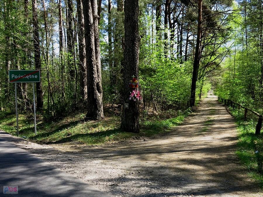 Do zabudowań w Poświętnem