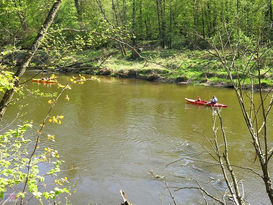 Ze spalskiej skarpy - punkt widokowy nad Pilicą