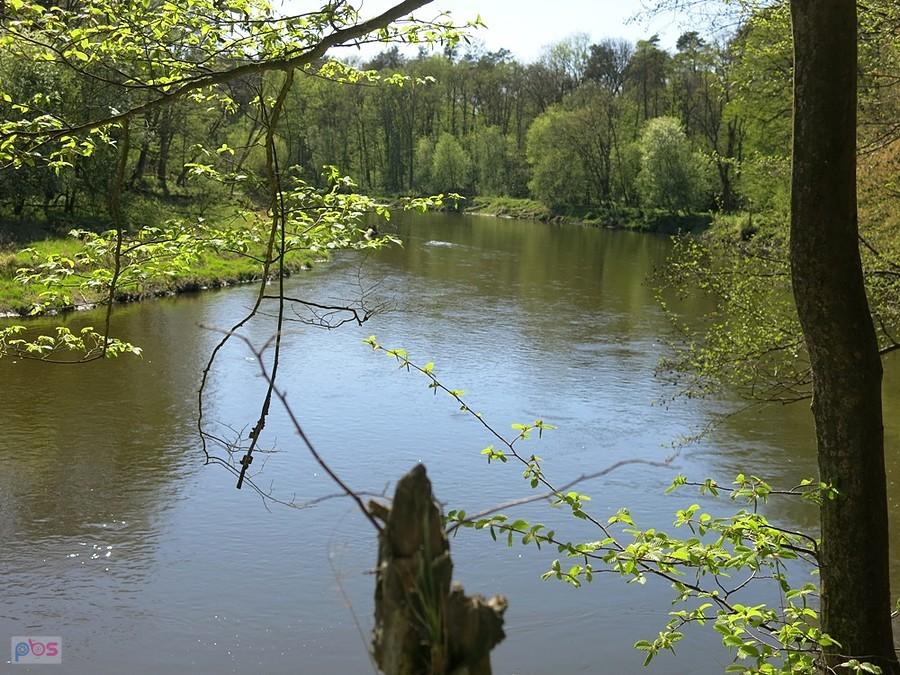 Z punktu widokowego nad Pilicą