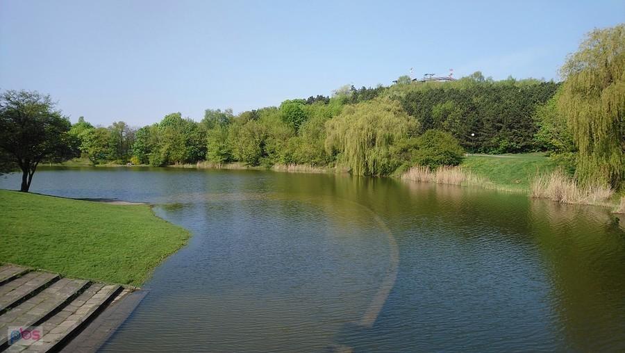 Staw na Szczęśliwicach widok z mostku na górę śmieciową