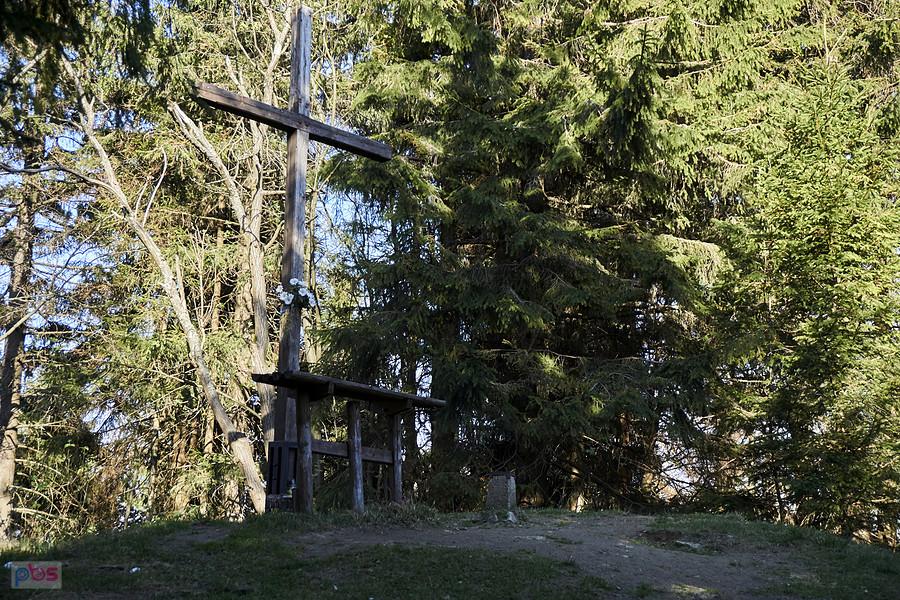 Na Śnieżnicy (1006 m.n.p.m)
