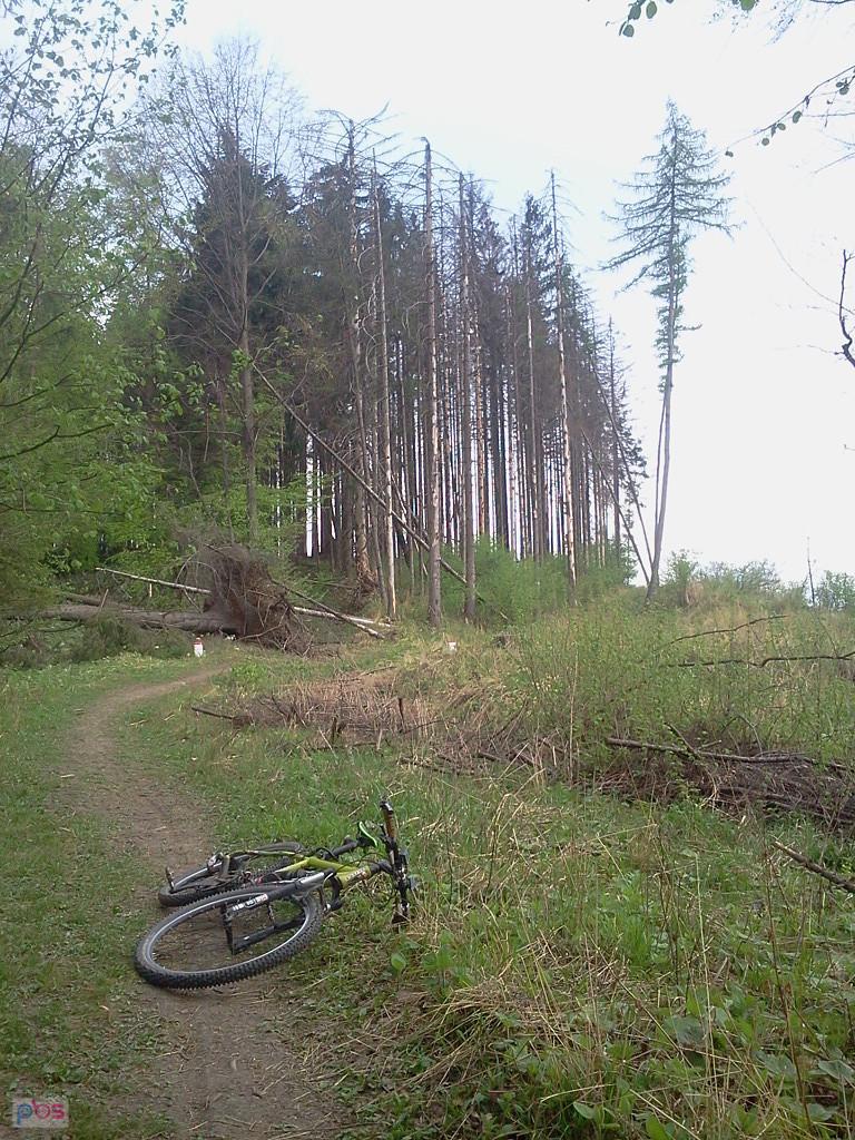 Na szlaku