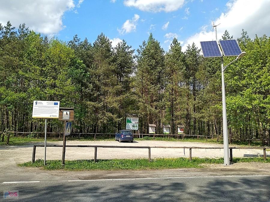 Parking leśny