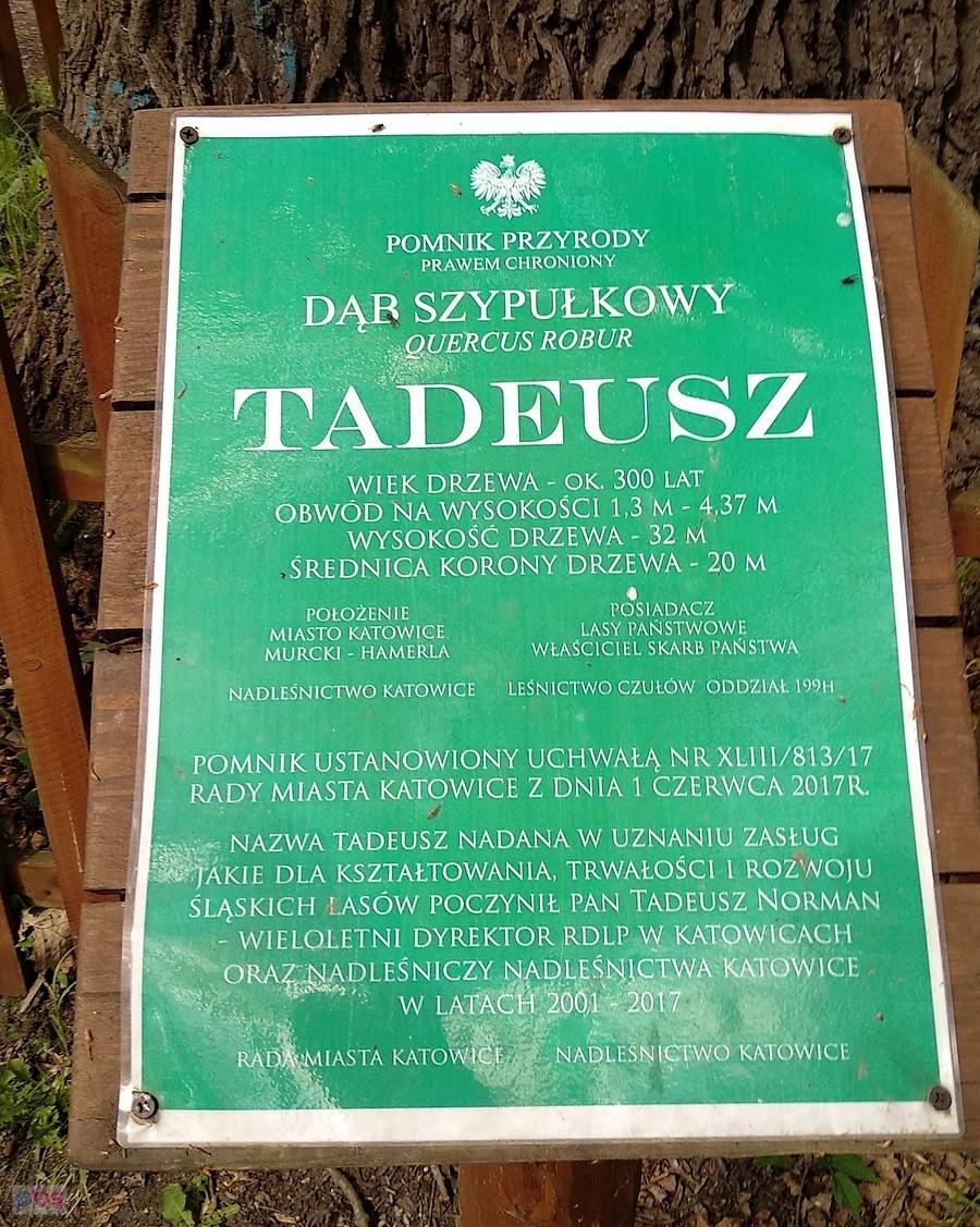 Tabliczka informacyjna
