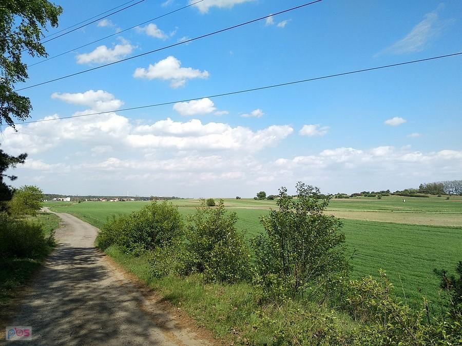 Pogoda wymarzona