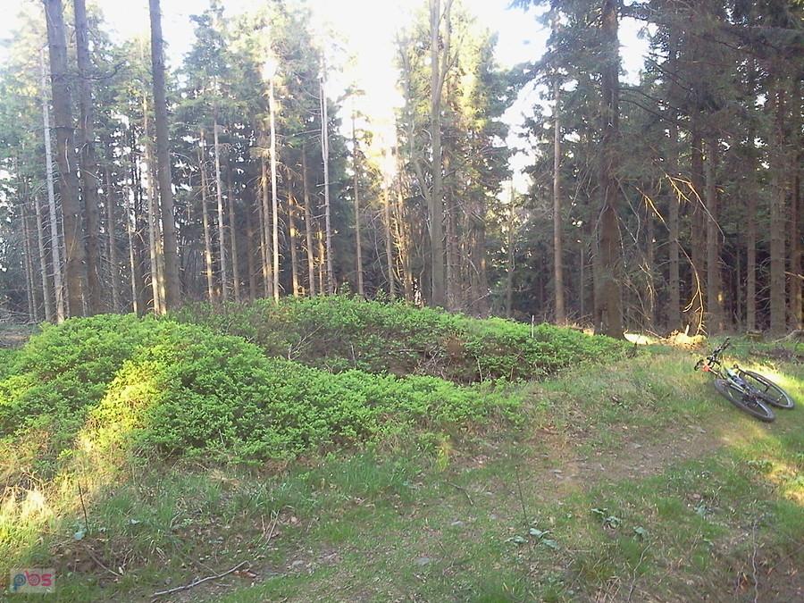 Ropiczka zarośnięte ruiny polskiego schroniska spalonego w 1918 r.