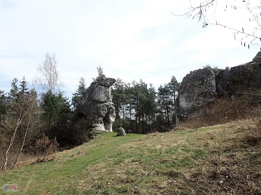 Góra Słupsko na której było grodzisko - jedno z większych na Jurze