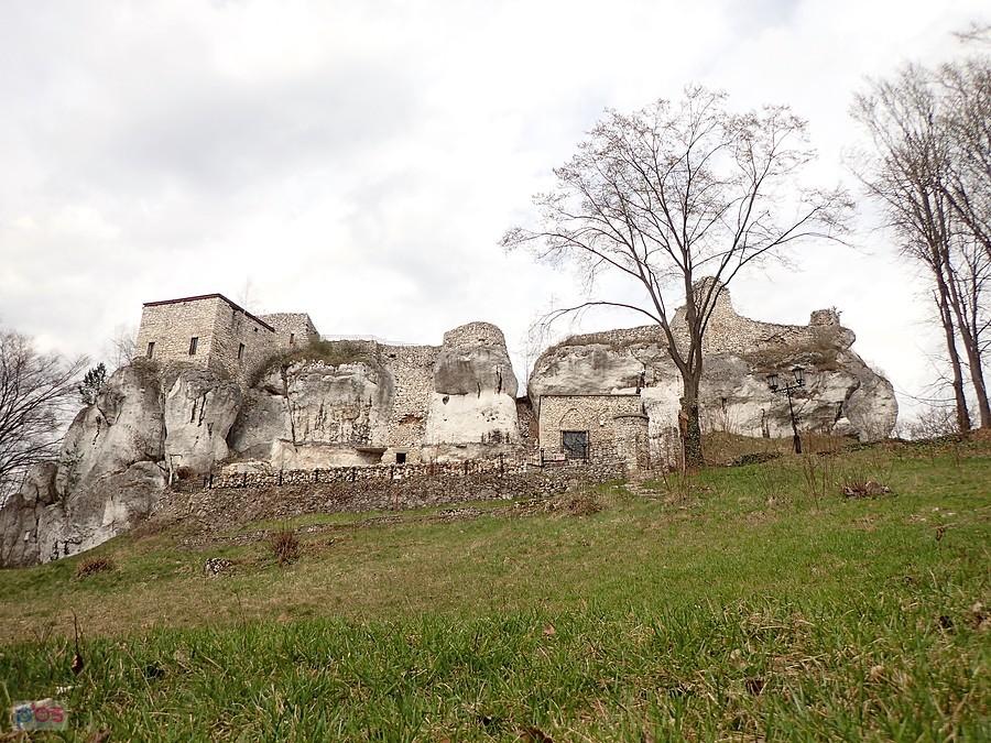 Zamek Bąkowiec w Morsku