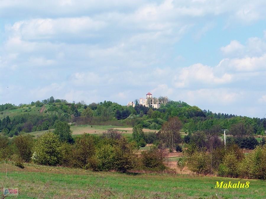 Zamek Tenczyn