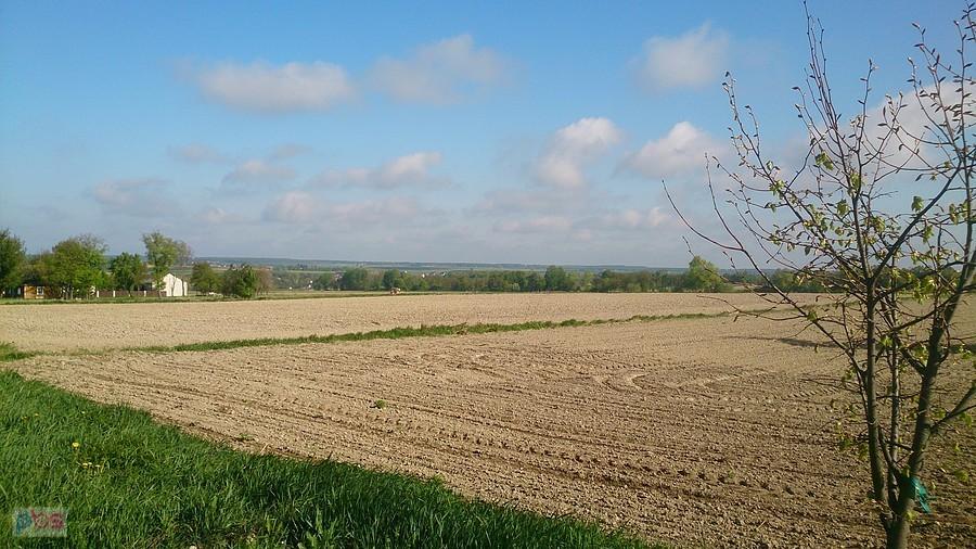 Widoki na Strzyżewice