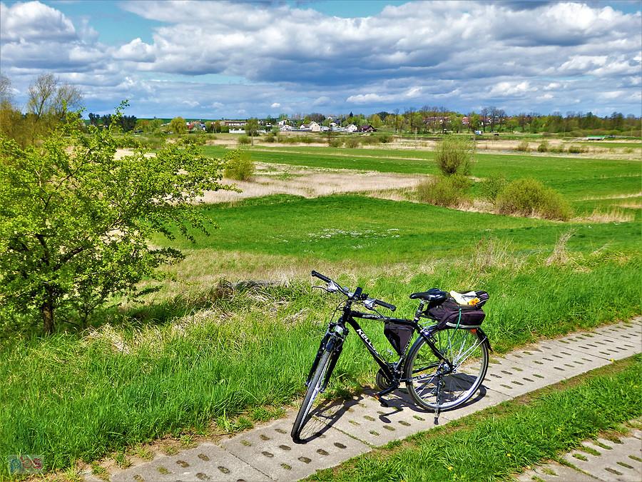 Wycieczka rowerowa -krajobraz Kociewia.