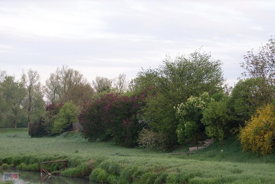 Nad Wolbórką