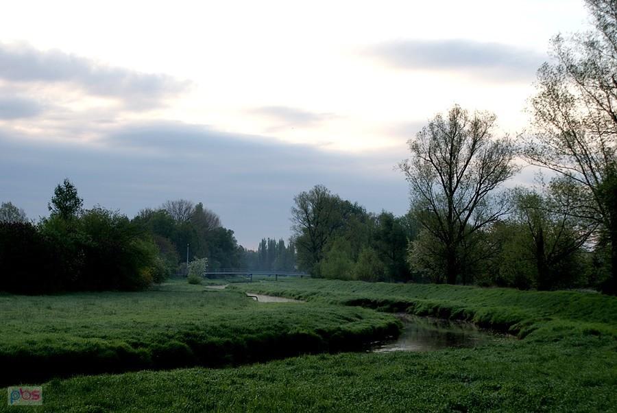 Słońce gdzieś się schowało, ale pojawiły się mgiełki