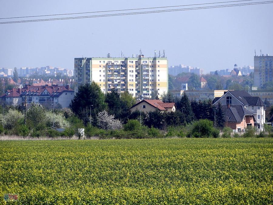 Fragment Szczecina - widok z drogi Przecław - Kurów.