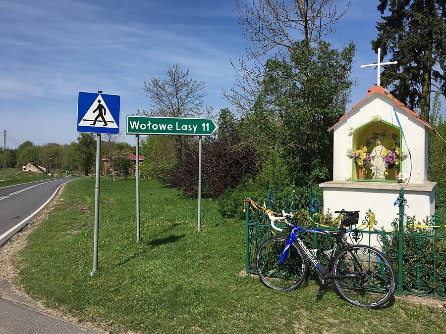 Kierunek Wołowe Lasy