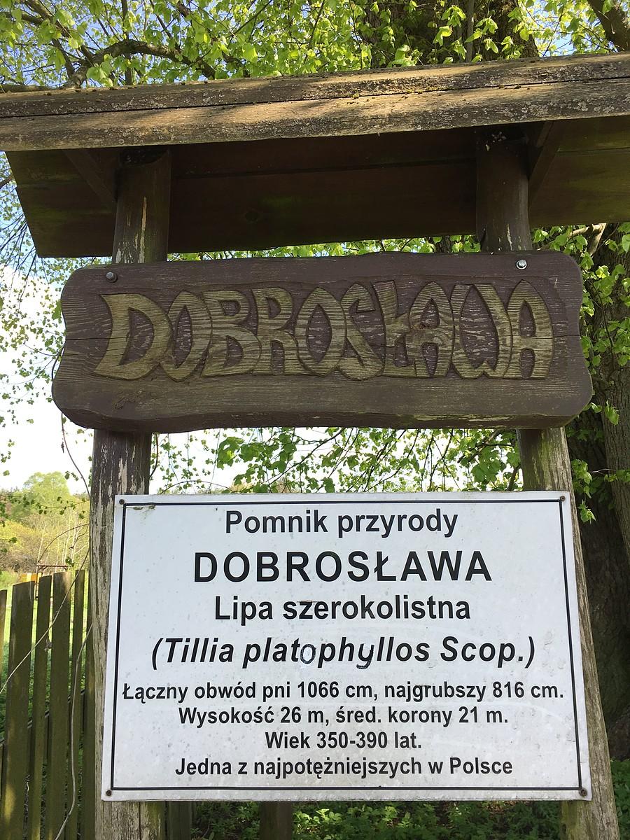 DOBROSŁAWA - kilka informacji na temat pomnika