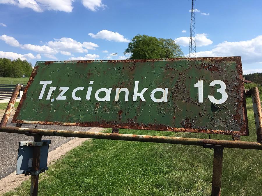 Na trasie do Trzcianki