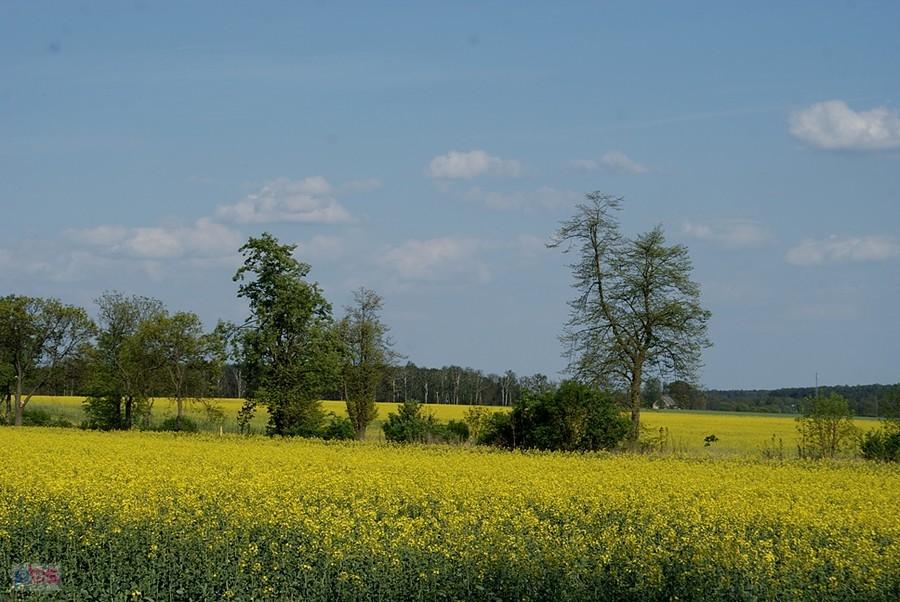 Piękna jest wiosna