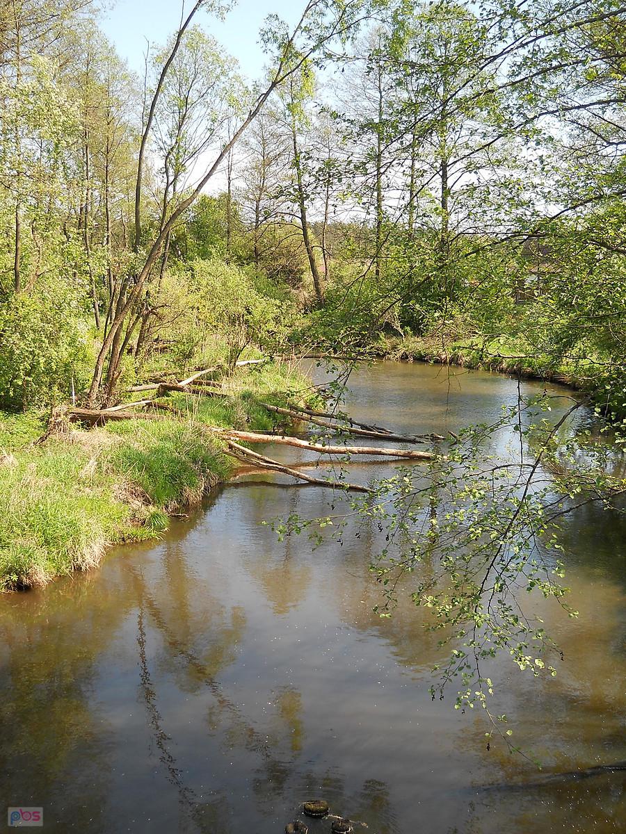 coś tam płynie