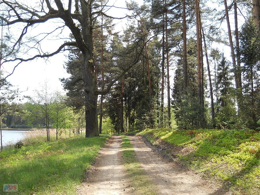kolejny fragment trasy