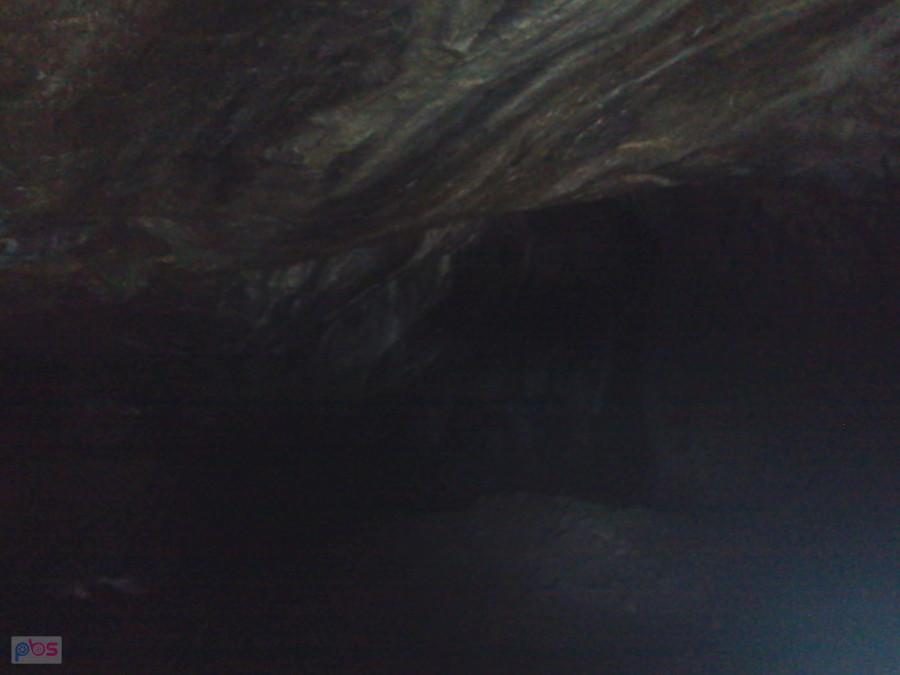 Grose Pinge
