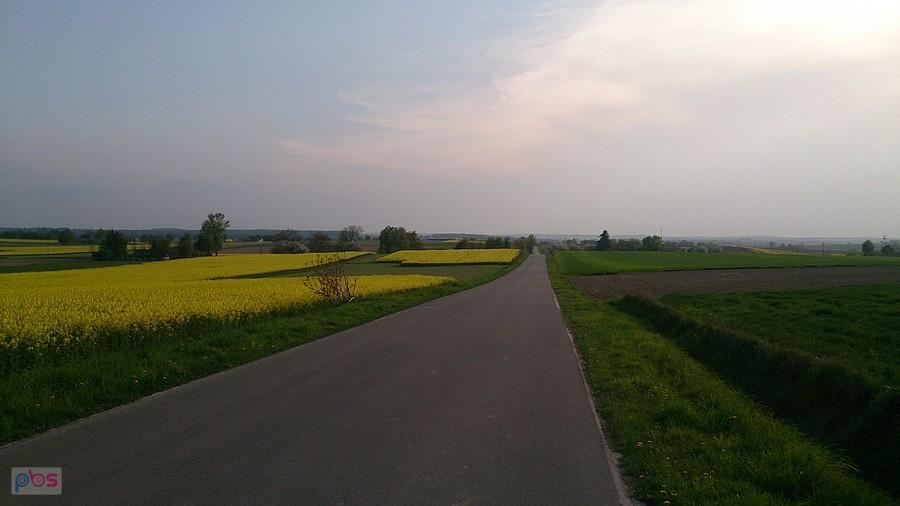 Droga na Olszowiec