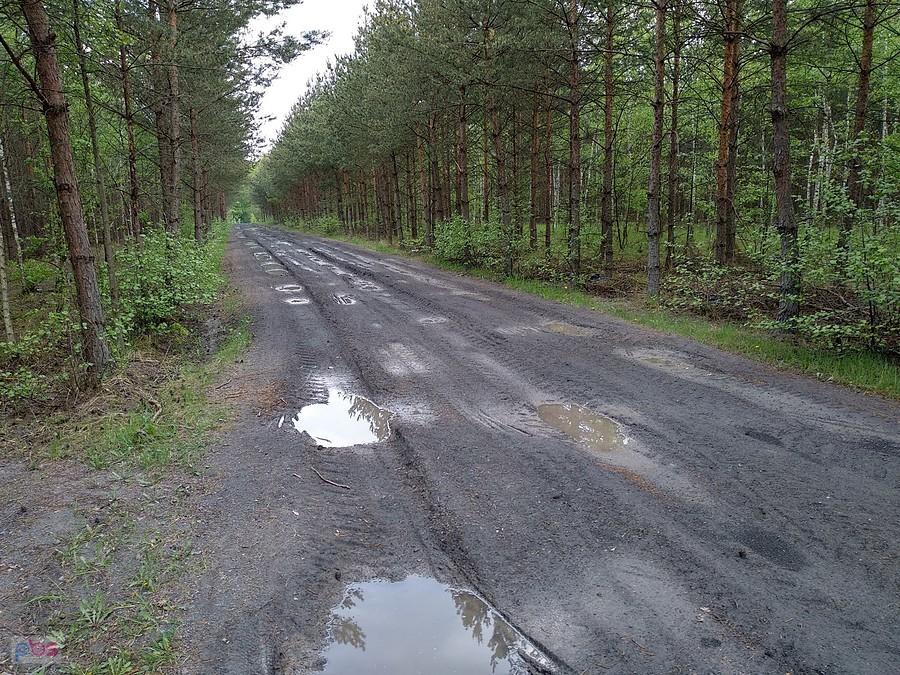 Niedawno przeszła tędy burza