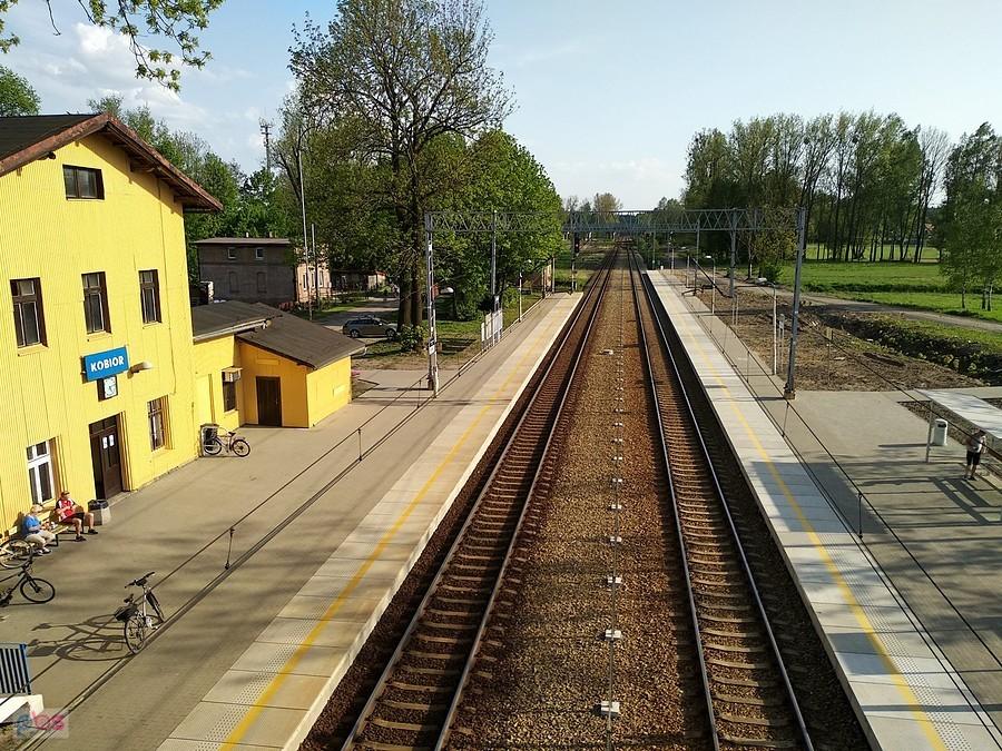 Widok w kierunku Pszczyny