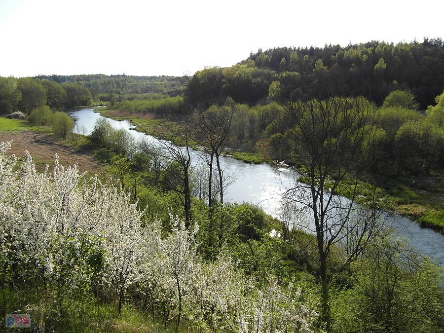 Widok z trasy na Wierzycę